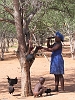 J17_0520 Himba larder